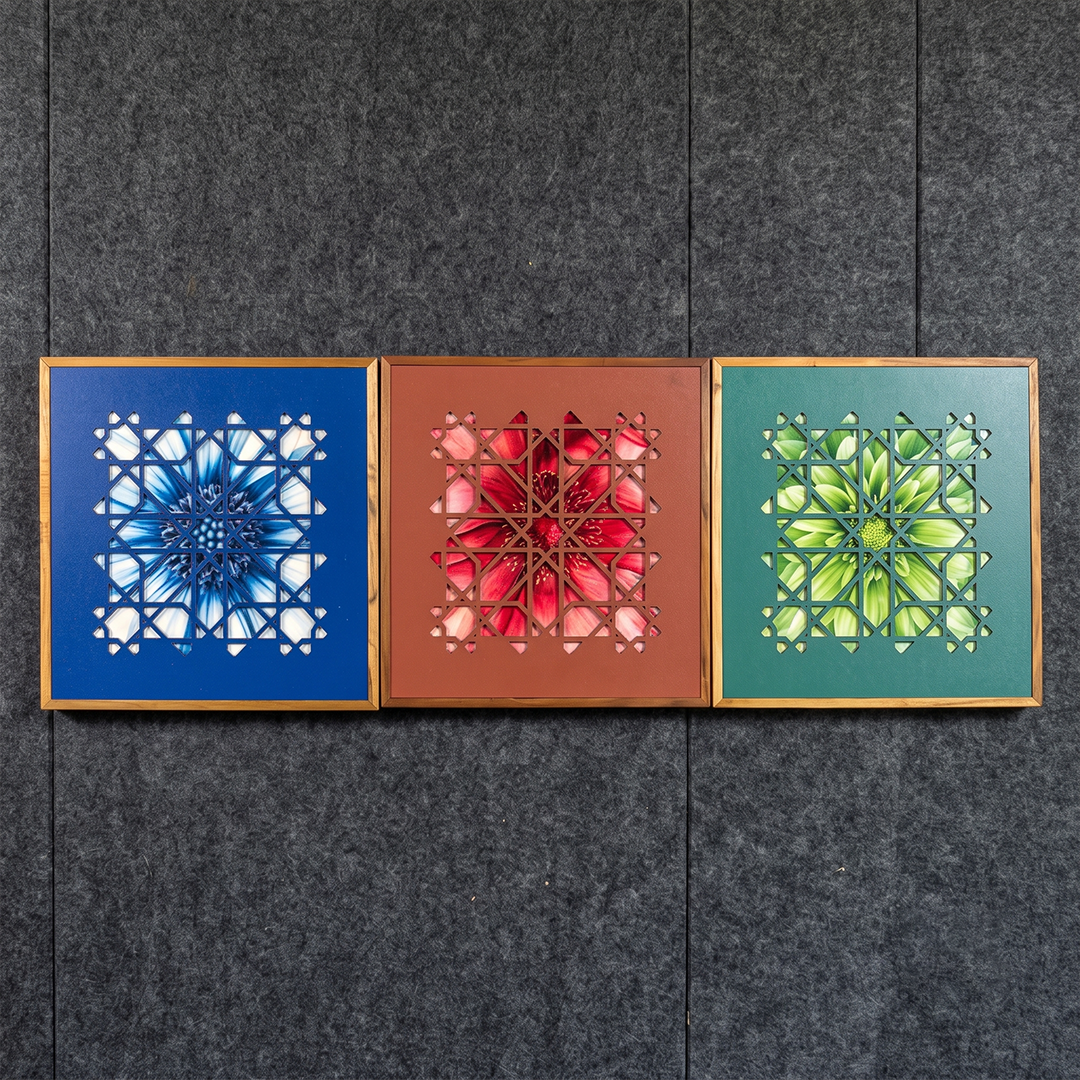 Lotus Geometry Collection